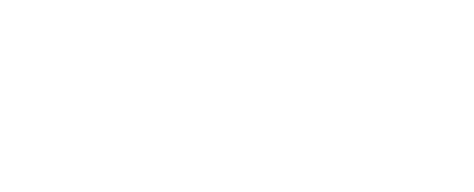 Version blanche du logo DSIT