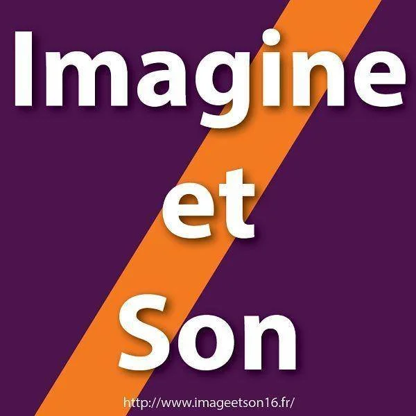 Partenaire de DSIT, logo de Imagine et Son.